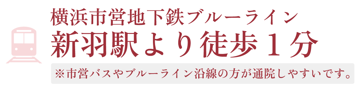 横浜市営地下鉄ブルーライン新羽駅より徒歩1分。市営バスやブルーライン沿線の方が通院しやすいです。